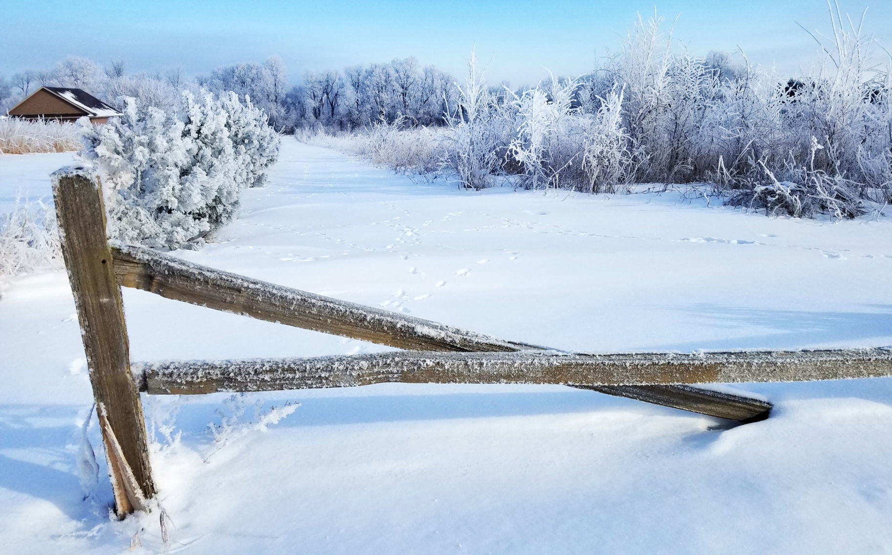 190220_FROST06